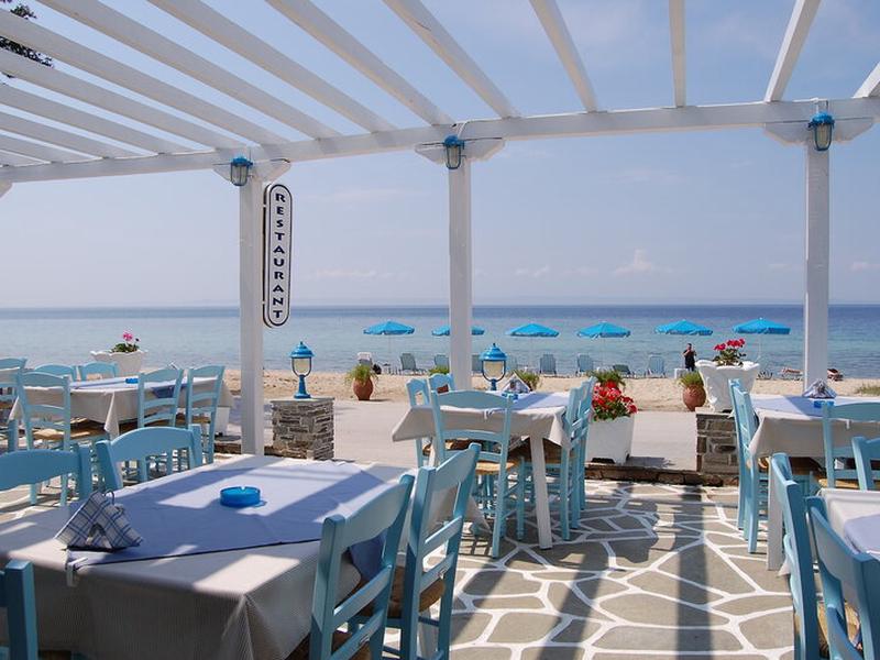 FC319FCCE62C8A8E977D7B65AEF64FAD