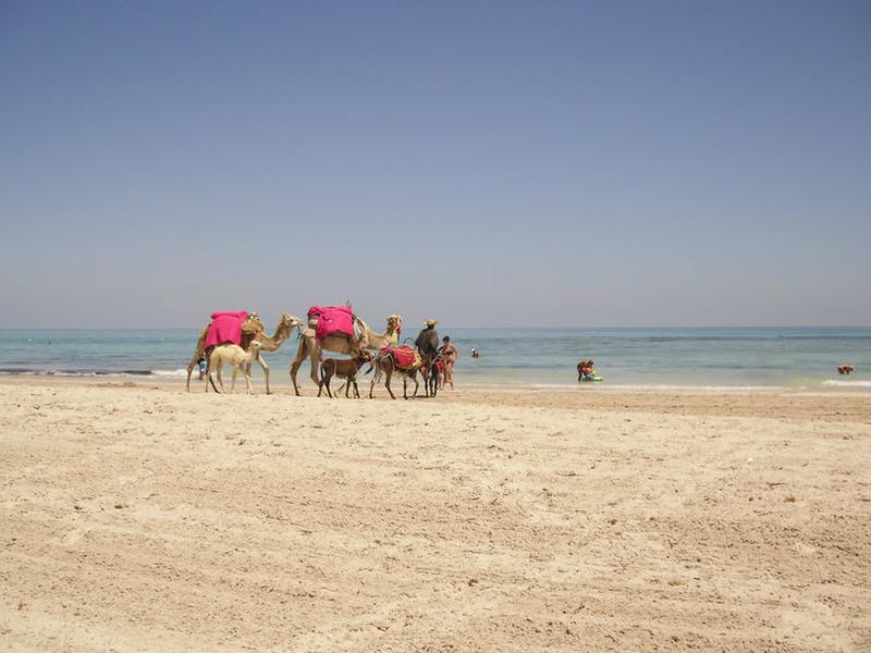 D3F5FEFF84BAE53F01CD432F20A101B0