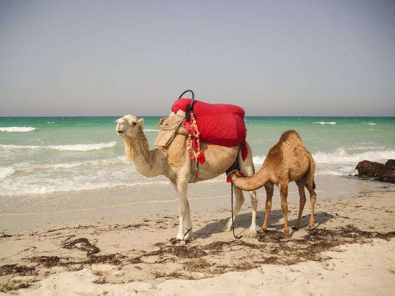 56FA995FD21E11FDE2E0AA67C8A85661