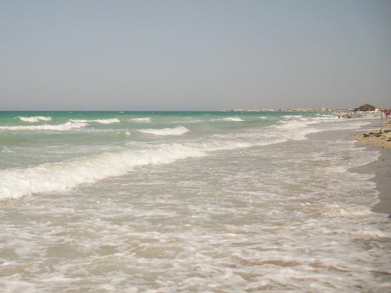 2C3F33C593E7D946CD1E48C3BC7DE15F