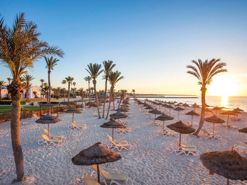 FD9DAA88C85E812E2A694CC1681C91F5