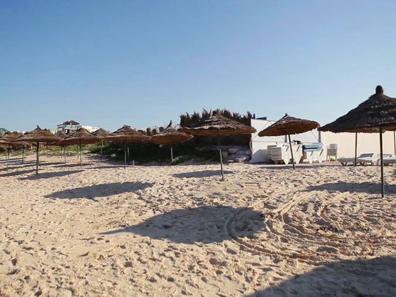 38EF4D56B5FF709B4EF209108BB2F231