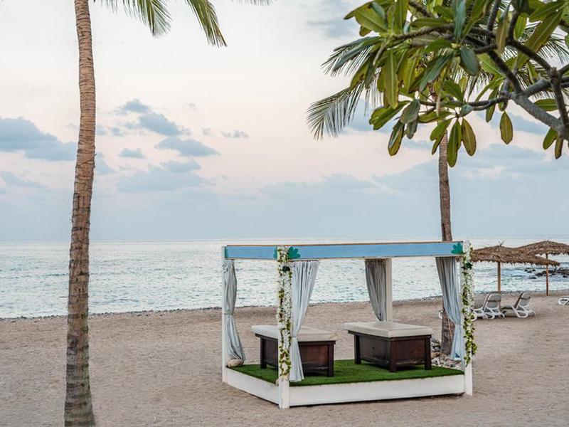 84D57AD4EB314F9AF64A02D539516485