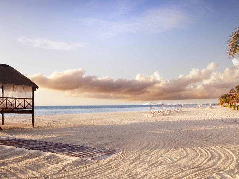 65E26274A03354FE6A071784A4BD0FF6