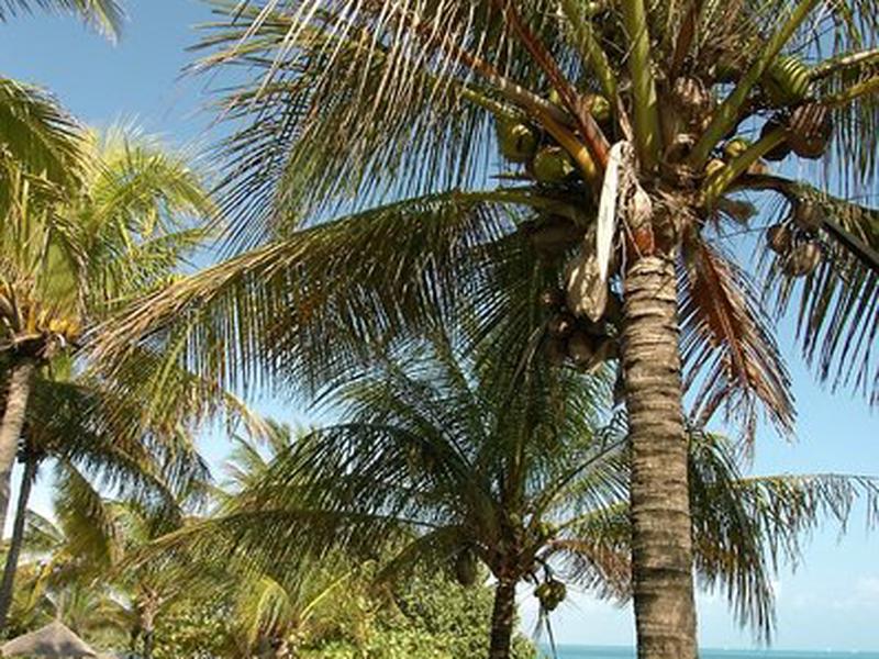 C1BE9879B367486D230C3FE52D04ABF4