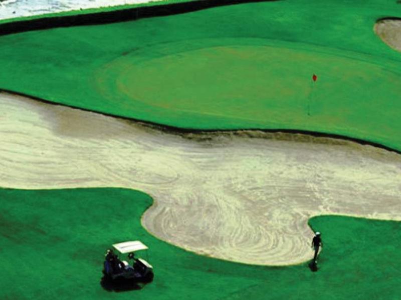 58ACADB70DDB075EC984C686A7E03323