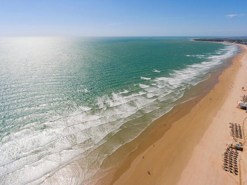 8E2AC60C6411C754B524F6A006C7634C