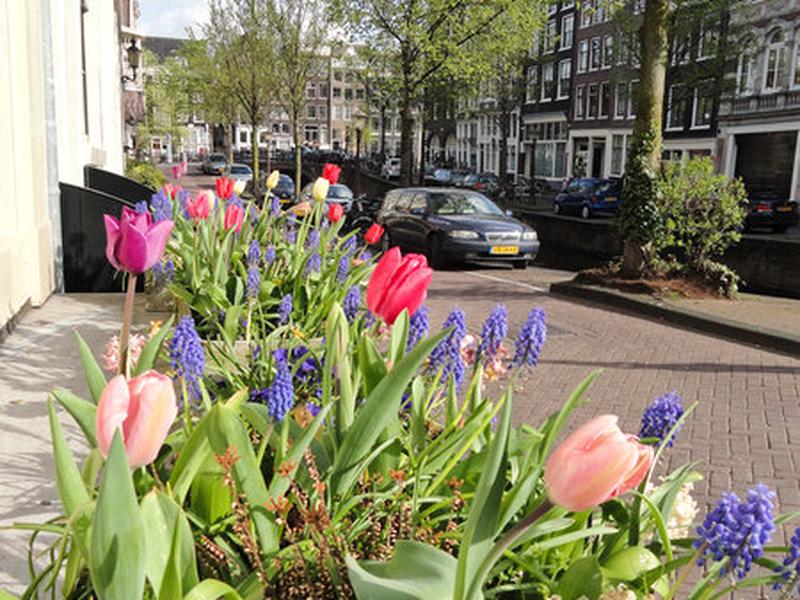 7F24598C2AAE97541C1F7361EC8BC564