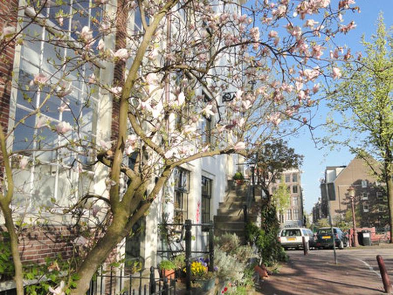 21CDF26175E8FC591D8856D8DFCC5BE2