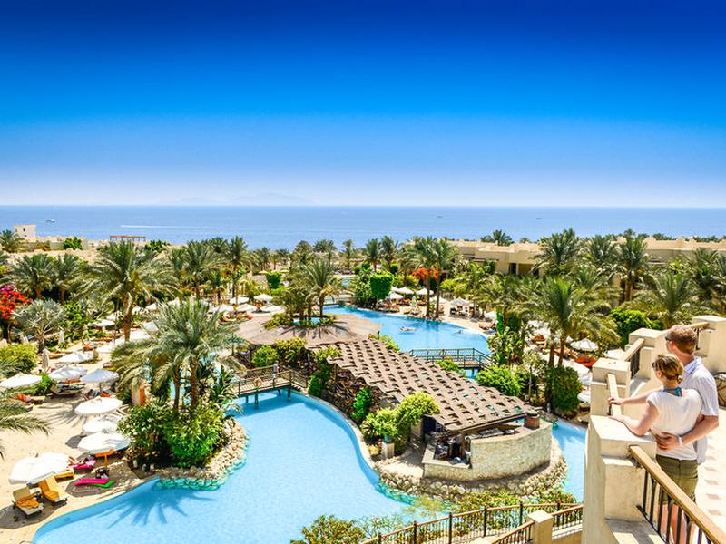 B4A9E862B51A69D94787C0AE0F305882