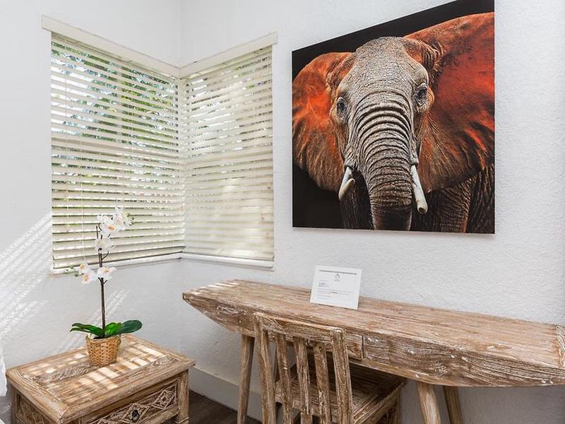 8C1CF321519559DA23846A4D05E5BAA3