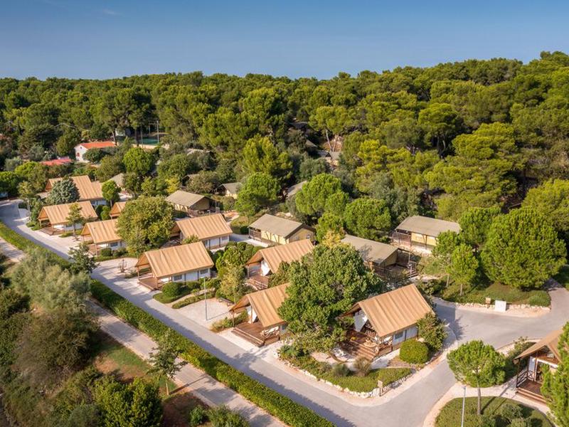 76F9D3190F9C80DEA4B6DCA9F02DD0AE