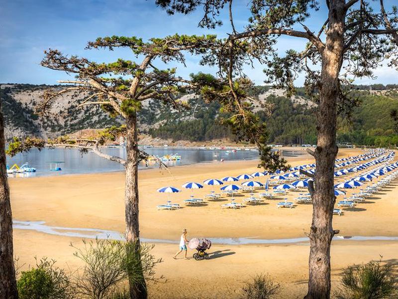 3C51CFC37B9ED6A1E7F6A88C3B009780