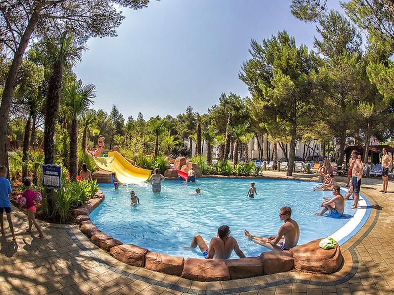 F64C58EB1E9E7DC294237A2B715F6B0F