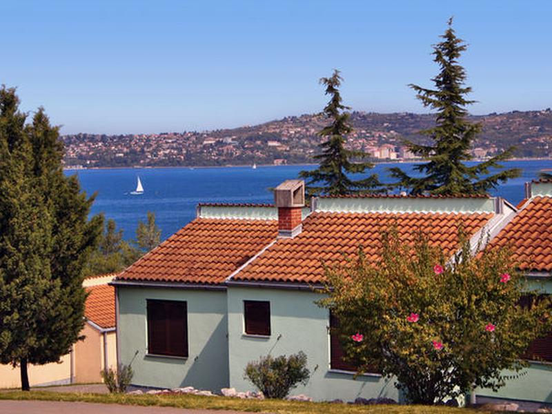 D596A476E7FB6B2EE96AD41B8A5045D8