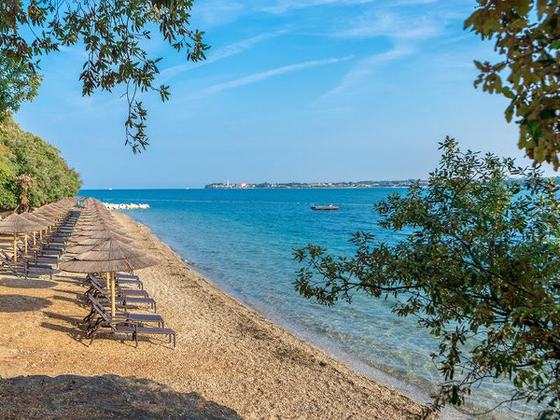 346FD898F1D67BD4D653751C7B6F48D9