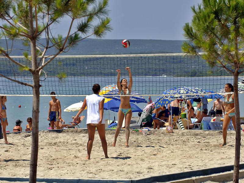 1E27D2C4755C2DE3ED85A2F99582A6AD