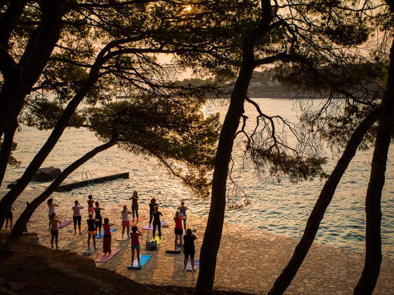 9B320BA5BC8E36AA61DCD836C0095414