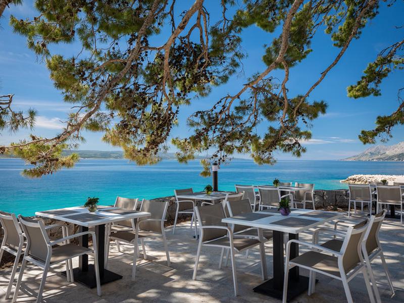 26F96359E31C0A46669D86030B09A9B5