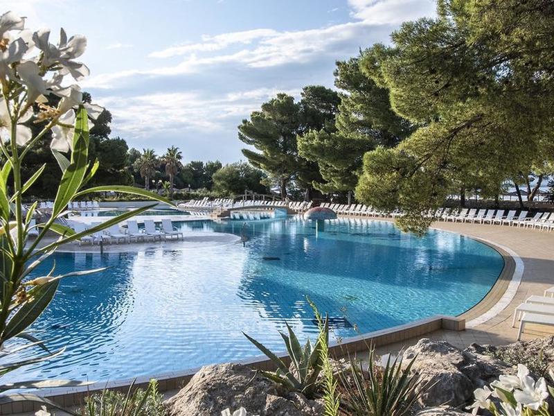 2899297A97A335F9C7CF1951D0702FDB