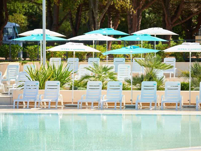 29D32597F826259C3534241B2421C513