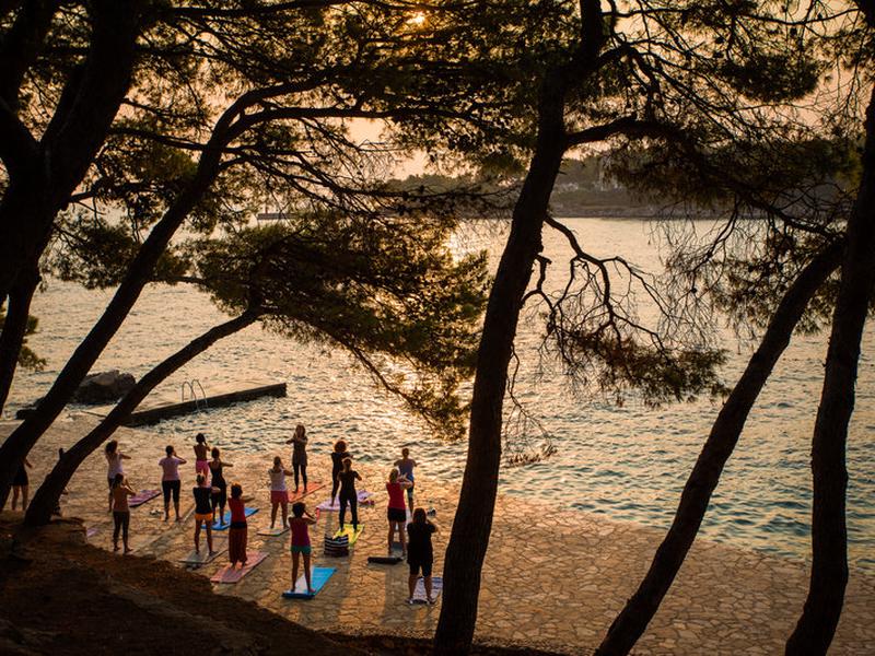 A633C51943FB38ADFCC93A99D3273EA2