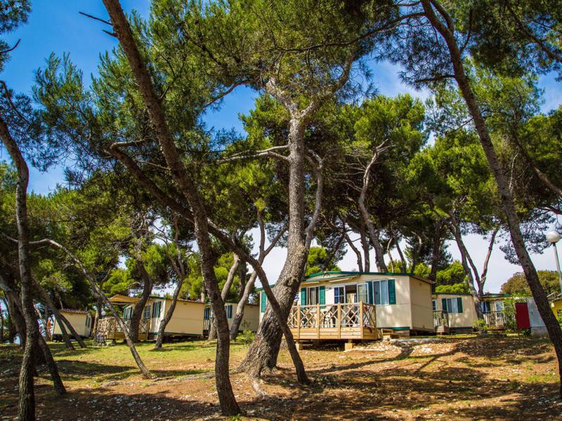 ARENA Stoja-Mobile Homes