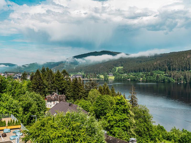 7EC86117D62CD926FE5930F210D2FE42