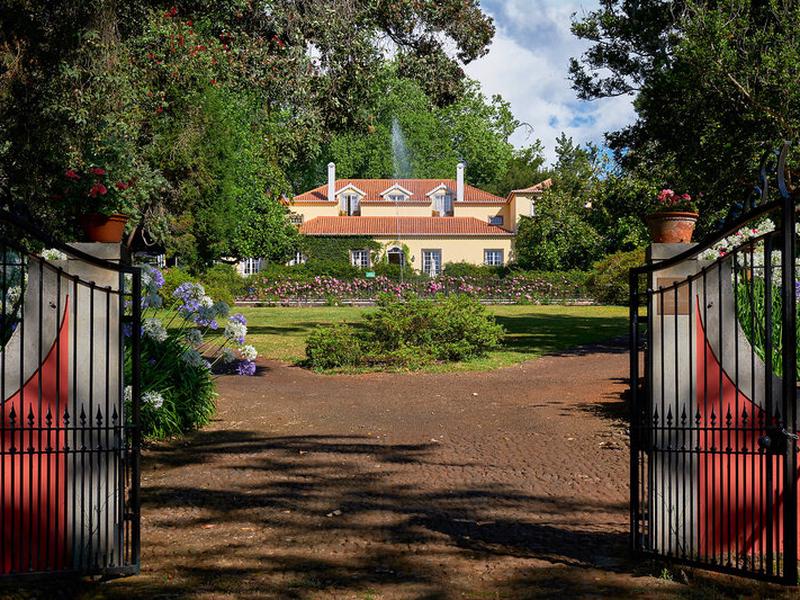 D023182E5BF254DB8800BDDCD93CE835