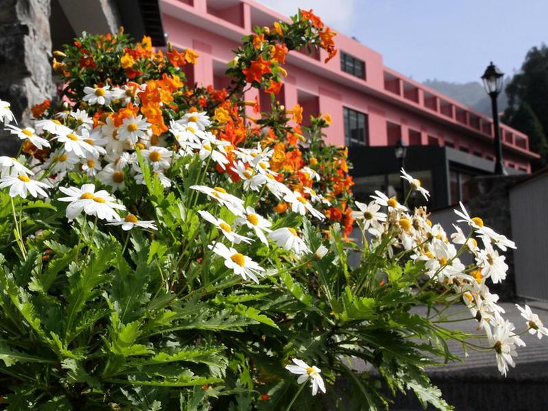 D548F6BF2C7E8B366730CC0A8105084D