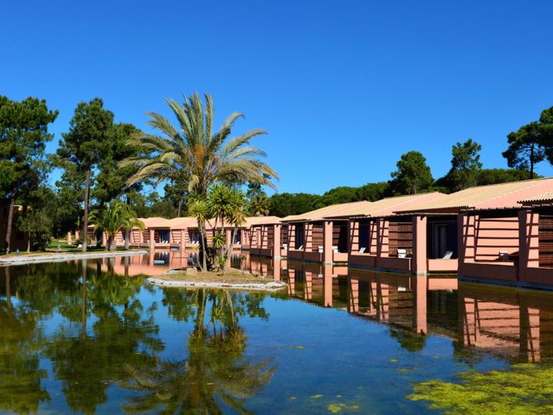 B1726FF42FDAE5FF9D7FDFB2D43659C5