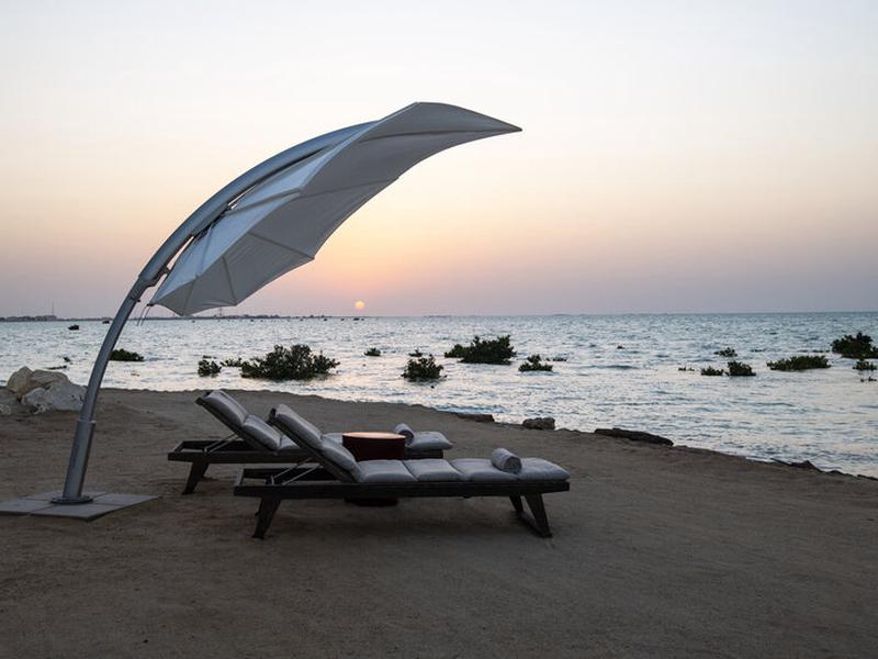 8C242B069B559B2D3A27C7D98A736D94