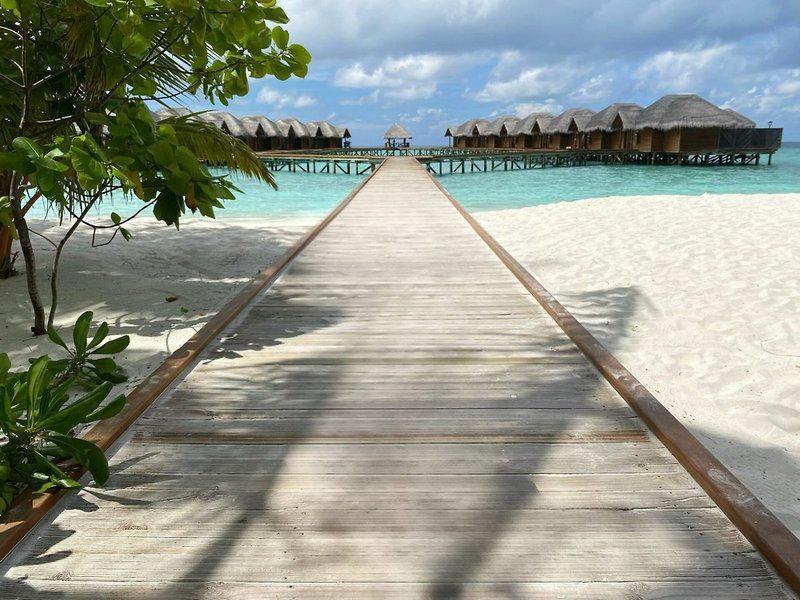 DEDE9D92C344BE8E6EE8E91CAA598362