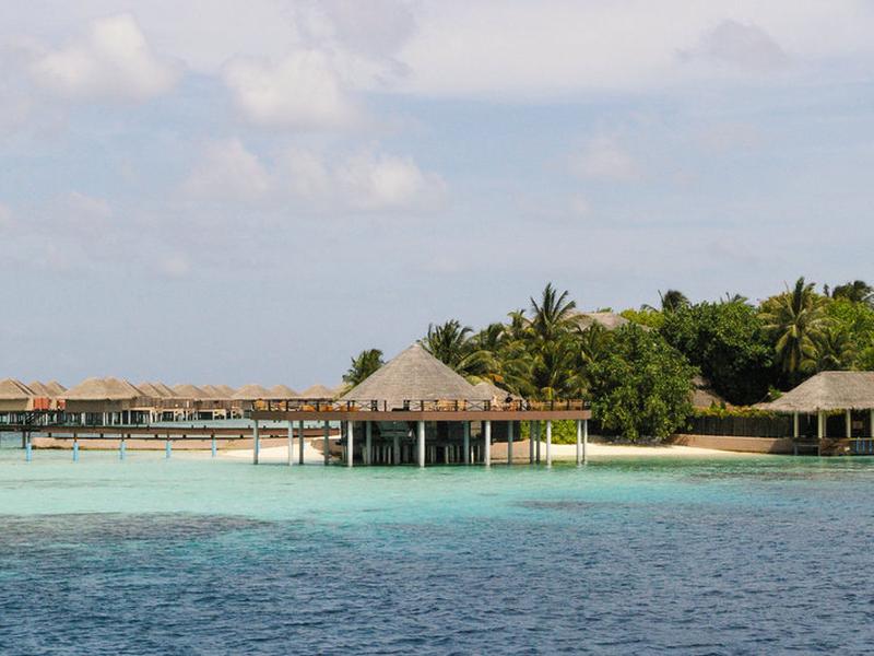 B67445A2E2645655A33730729C2F81EF