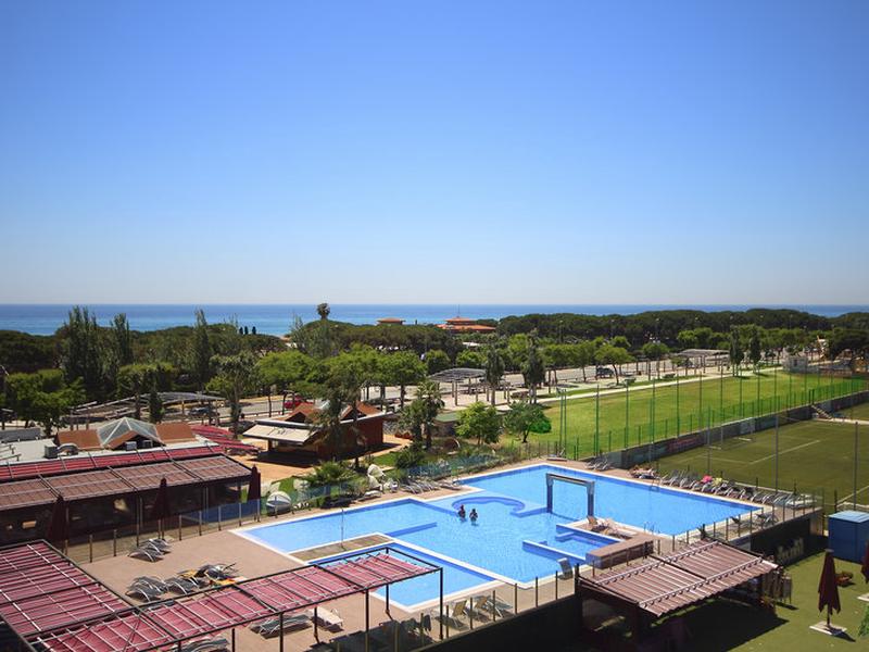 8C7D2ACDB895C1F076D97BAF6AD8DF29