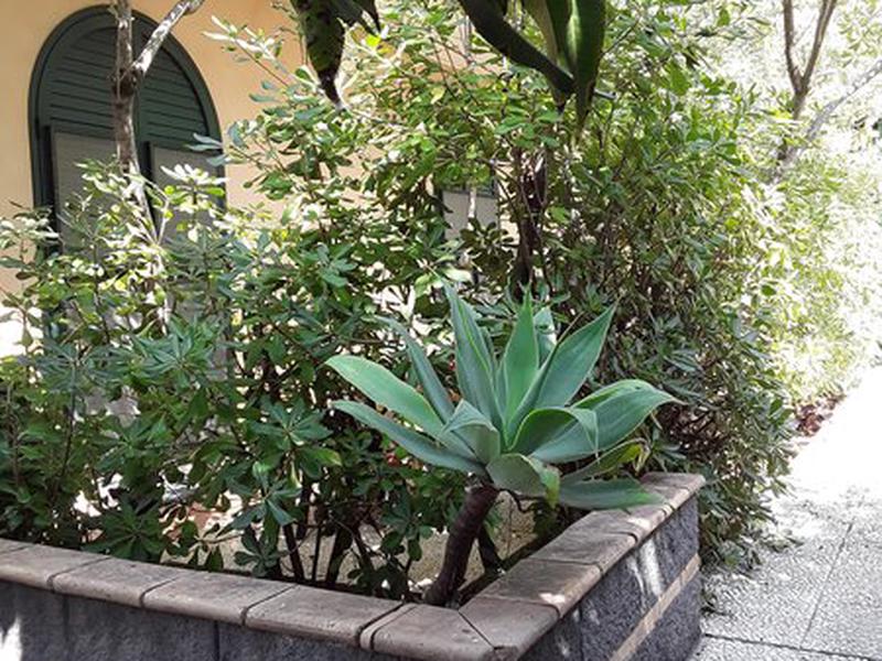 4C9DFDAF91134C7D25BEB12A37179BB5