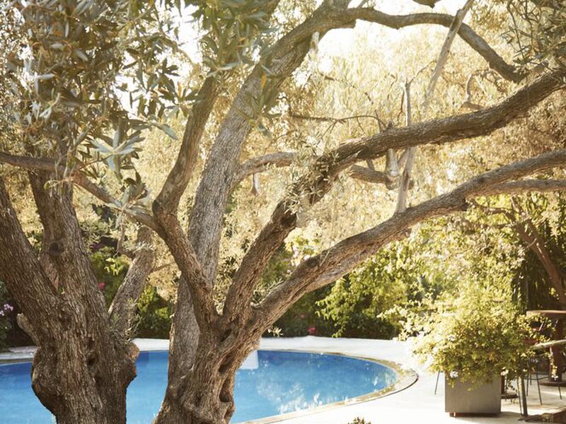 3D22BFEA77F36C55EB56CFCD44C4133B