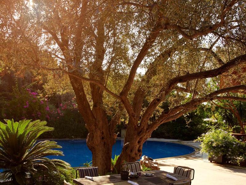 F6AB293FAC411A3D6E72694CE914A24B