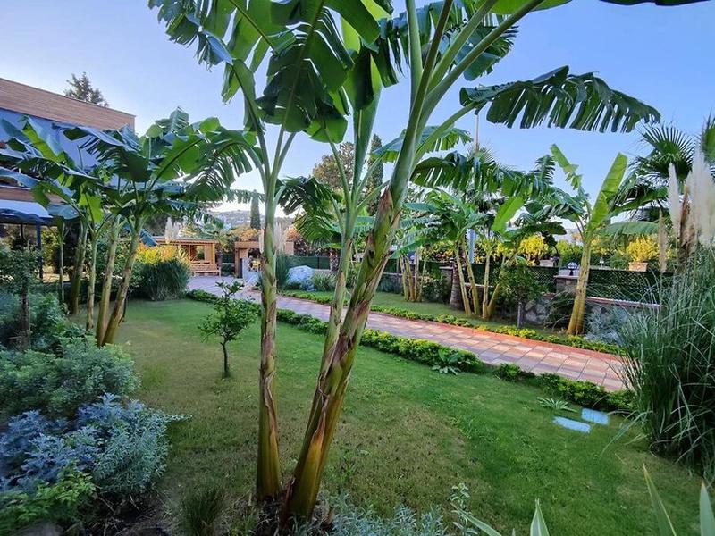 EA94278BAB6672BFE26604C444DBB6C3