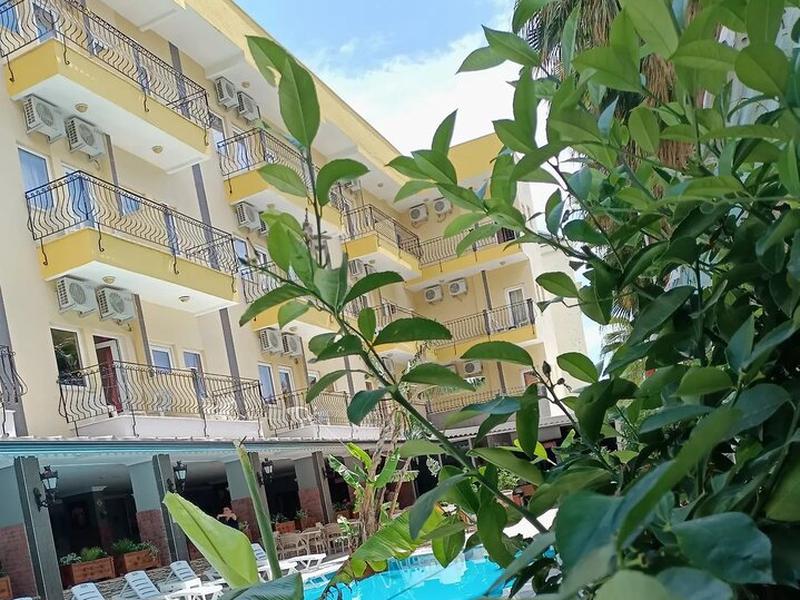 C56CE2B29C3D8CC037690CE6DABE5BEC