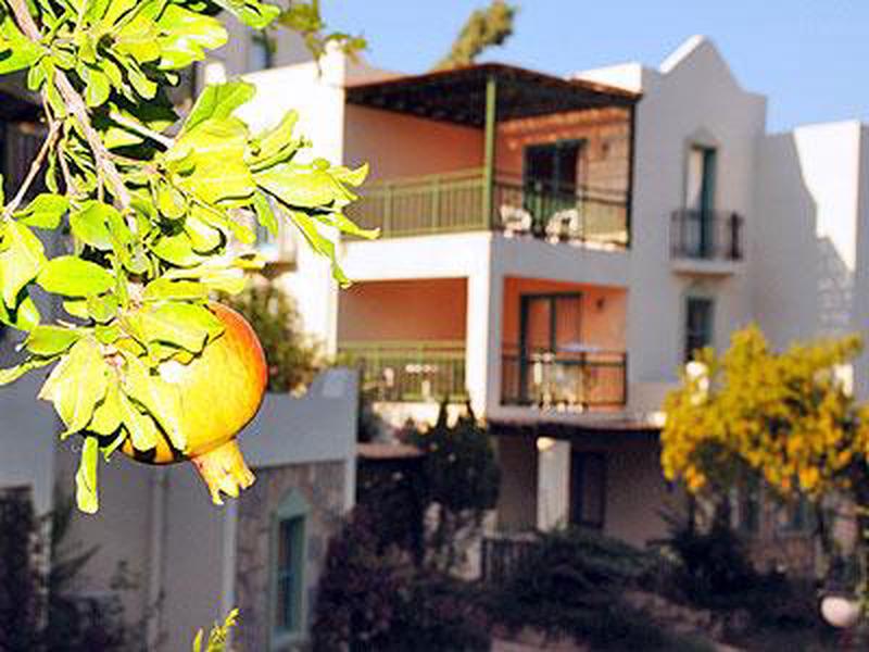 DFDB1AD5C1AE5D7B76B59BC32152CF32