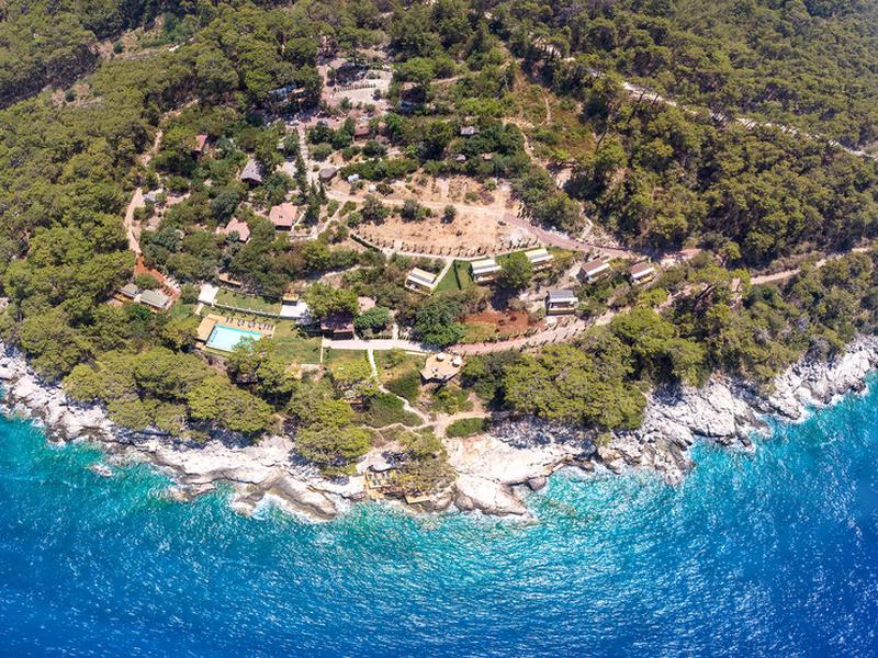 D11154355DB87B898A4F4CACE137563D