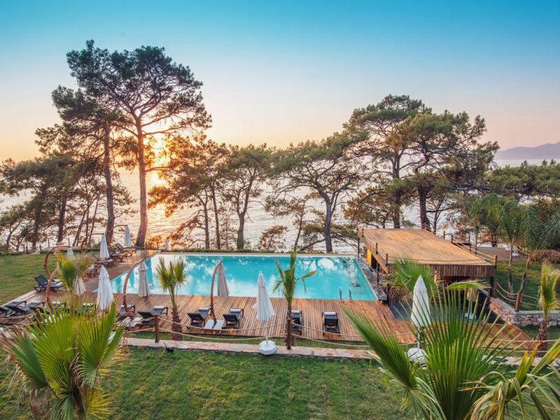 806F2D625609FC799F474EB360FAC6DE