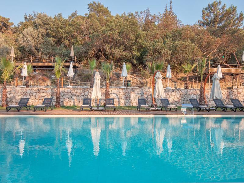 B4220200822FC84A98412647E3FAA4F4