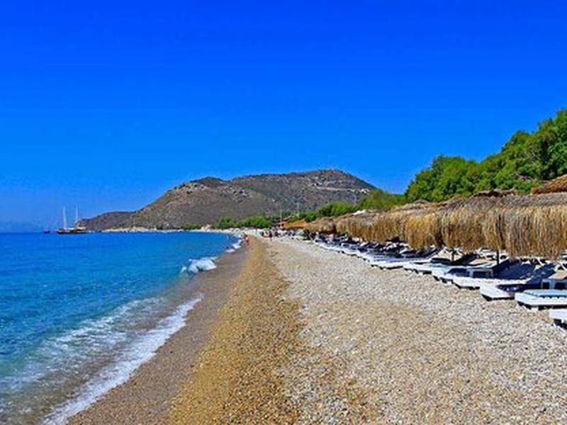 2D7F5775C4A1D2445A7395B4DB9EDE53