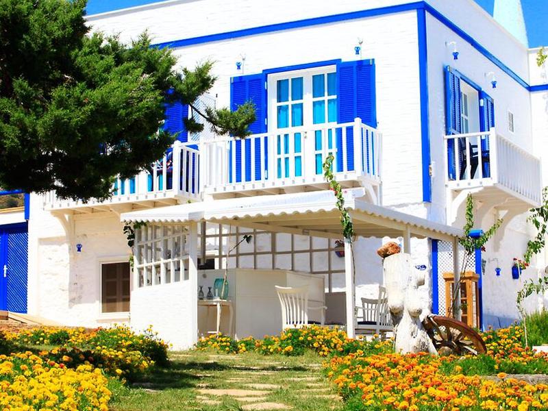 AE0FF00878FA892BB81B0B02E3F2337F