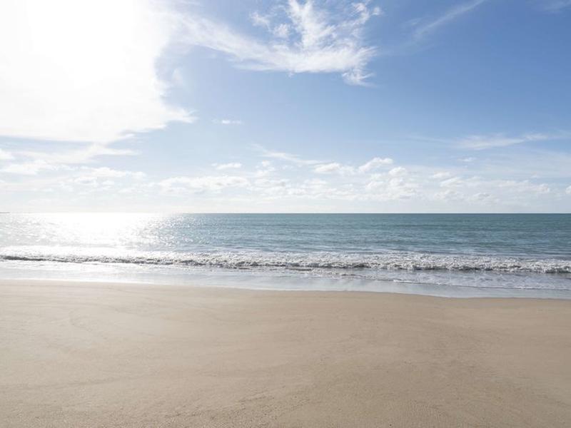 EE2DFBF977007315009CDEB1BC069E17