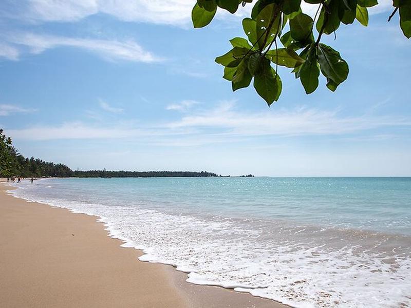 7E04109A4D69D7D7FD68D8CBF42C1788