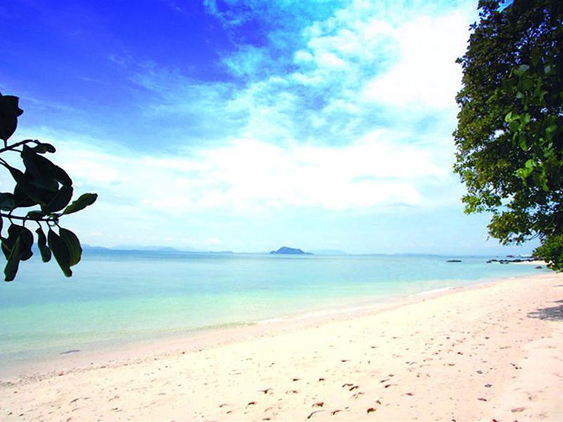 BFBD4D8ED6E0731B446B569BAD32392A