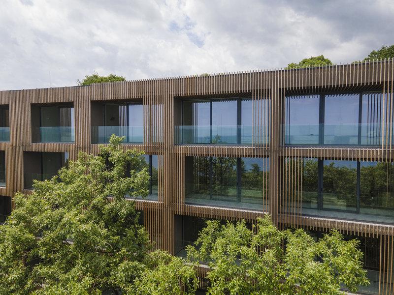 806C76D994A8653E28ED7D9AD3C231BF